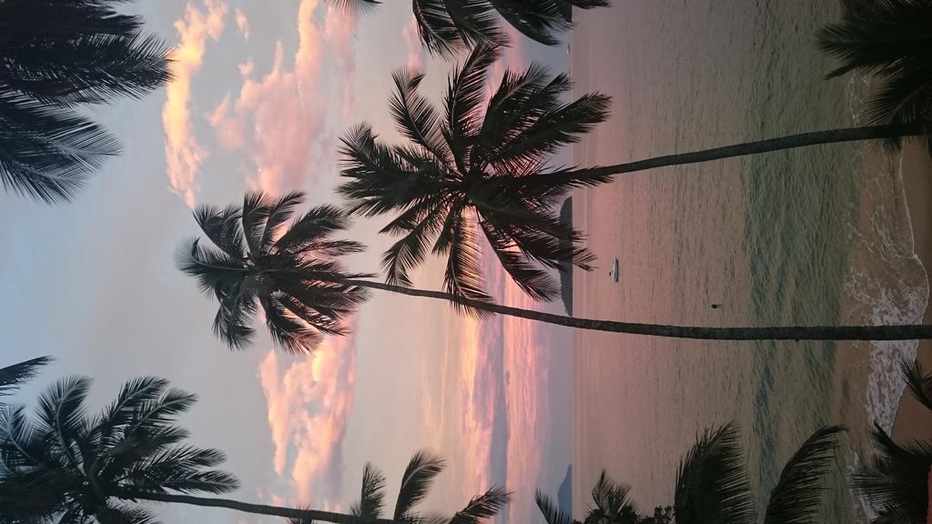 Cabanas Paraiso Abraão Exterior foto